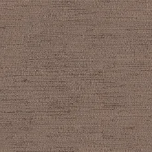 HAZELNUT Swatch Teaser